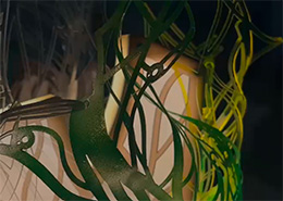 LabDesign_projeto (260x185).jpg